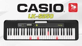 Новый доступный синтезатор CASIO LK-S250 (серия Casiotone)