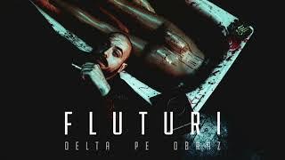 DELTA PE OBRAZ  |  FLUTURI  |  official audio