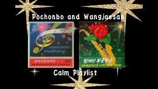 2 Hours of Calm Wangjaesan and Pochonbo Songs With Rain