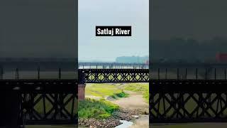 Ludhiana ke pas satluj River || #river #satluj