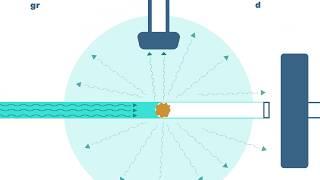 Durchflusszytometer - einfach erklärt | Fast Forward Science 2019