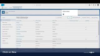How to Create New Custom Fields for Lead in Salesforce Lightning