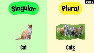 60+ Most Common SINGULAR Vs PLURAL NOUNS | Part 2