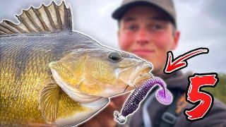 TOP 5 SOFT LURES FOR COLD WATER PERCH | Team Galant