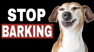 Sounds To Stop Dog Barking  |  HQ