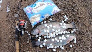 Catching Stocked Trout With Mini Marshmallows - Catch n' Cook - How To Catch Stocked Trout