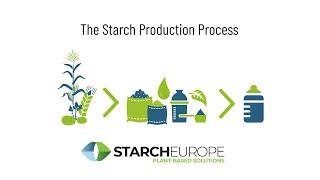 The Starch Production Process