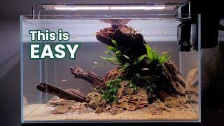 EASY & BEAUTIFUL Low- Budget Planted Aquarium