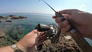 #91 | Crete, ultralight shore fishing part I