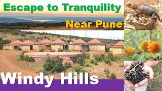 Escape to Tranquility: Rustic Nature Retreat at Windy Hills Agro Tourism, Kathi tek, Patan, Satara