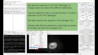 Supervised Classification with Bio7, ImageJ and R