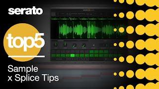 Top 5 | Serato Sample x Splice Tips