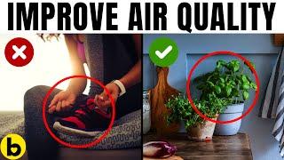 17 Effective Ways To Improve Air Quality In Your Home