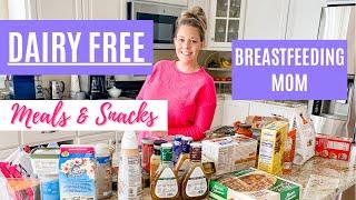 DAIRY FREE GROCERY HAUL | DAIRY FREE MEALS & SNACKS | WHOLEFOODS | WEGMANS | BREASTFEEDING MOM