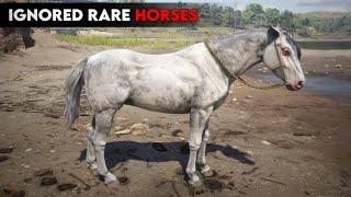 4 Ignored Rare Horses With Location - RDR2