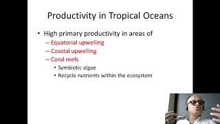 8   Primary Production in the Tropics