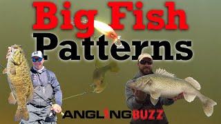 Big Fish Patterns
