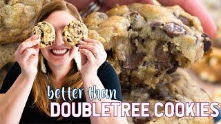 Better than Doubletree Cookies Copycat Recipe