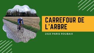 What's it like at the Carrefour de l'Arbre at Paris Roubaix?