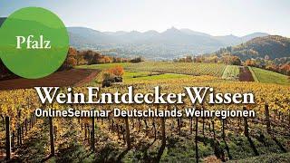 PFALZ – WeinEntdeckerWissen OnlineSeminar Deutschlands Weinregionen