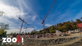 Baustelle Pantanal Voliere: Die Kräne stehen!