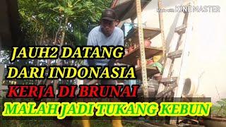 Jauh2 datang dari Indonesia kerja di Brunai malah jadi tukang kebun