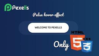 Css Button Animation on Hover Pulse Effect - Pure Css Tutorials - Using Pseudo Elements