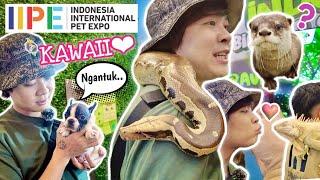 LUCU BANGEEEEET!!!! PET EXPO DI INDONESIA!!