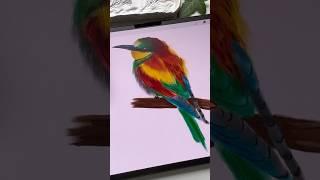 Drawing Process in Procreate - Digital Watercolor Bird #shorts #procreate #tutorial