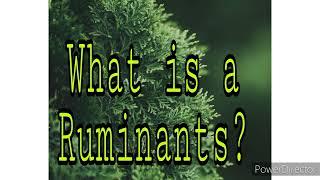 Animal Production(Ruminants): What is a Ruminant?