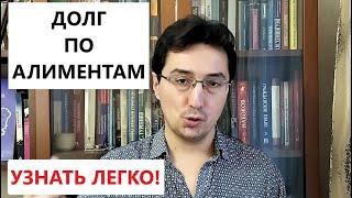 Как узнать свой ДОЛГ ПО АЛИМЕНТАМ легко