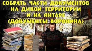 ОП-2.1. Собрать части документов на Дикой Территории и на Янтаре (Документы Воронина)