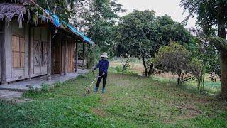 Single mother: Cleaning grass around the house, taking care of chickens - Ly Tieu Tuyet