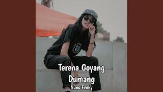 Terena Goyang Dumang