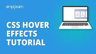 CSS Hover Effects Tutorial | Hover Effect In CSS | CSS Tutorial For Beginners | Simplilearn