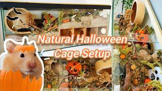 Upgrading HAMSTER's Natural Halloween Cage Setup - German Inspired Enclosure + Autumn Haul  