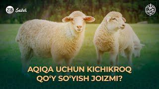 218-savol: Aqiqa uchun kichikroq qo‘y so‘yish joizmi?