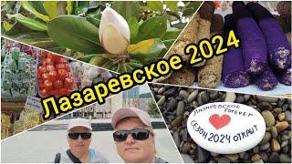 Сезон 2024 открыт!!!//Рынок ТВС //Ж.Д.Вокзал//Прощаемся с котиками!