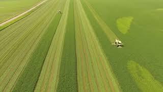 Cutting & Chopping Hay 2019