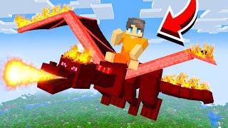 We Adopted Dragons in Minecraft!
