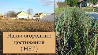 Что посадили на огороде в Сербии в 2022 году?