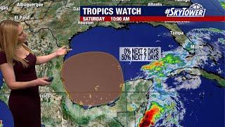 Tropical disturbance in Gulf could form next week