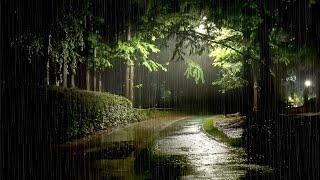 Overcome Insomnia and Fall Asleep Quickly with Rain Sounds in a Quiet Night Park