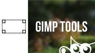 GIMP | Transform Tool Common Options