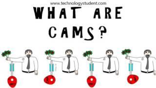 What are CAMS?
