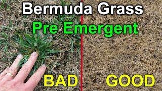 Preemergent for Bermuda Grass - Amazing results with pre emergent.