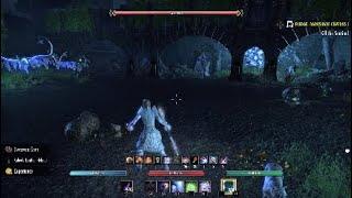 SOLO Newbie Slices & Dices the Endboss Sentinel of Rkugamz in Darkshade Caverns I normal