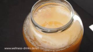 See A Kombucha Mother Giving Birth to A Baby SCOBY – 16 Days’ Time Lapse Video