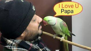 Pablo the Alexander Parrot showed off her vocabulary skills