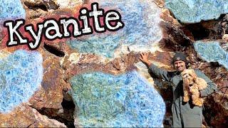 Amazing Blue Kyanite Pyrite Crystal Outcrop | We Must Dig!
